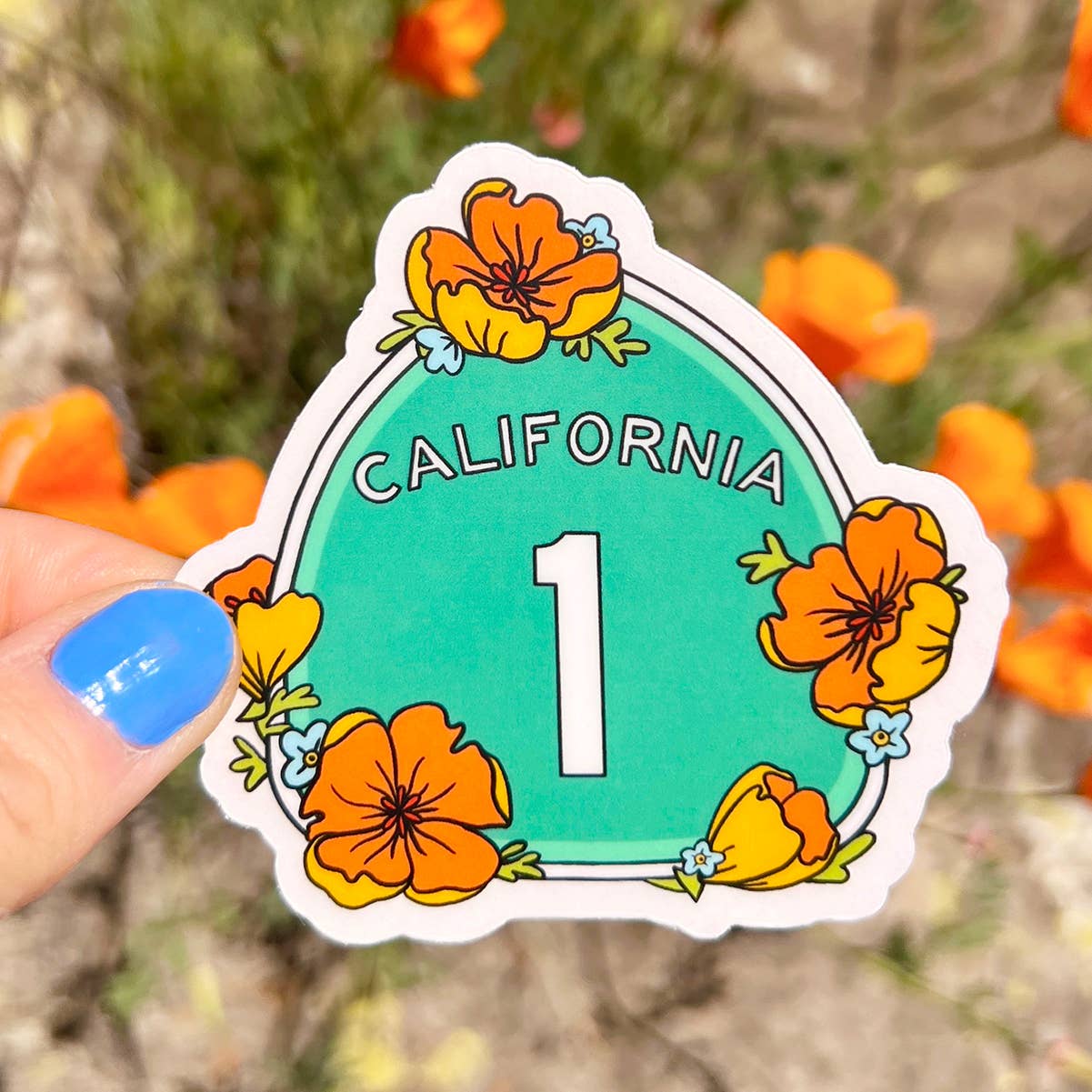Brenna Daugherty Illustration - Wholesale Sticker - California Highway 1 Sticker4