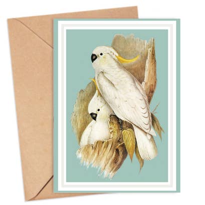 Sulphur-Crested Cockatoo Card for wholesale by ikonink