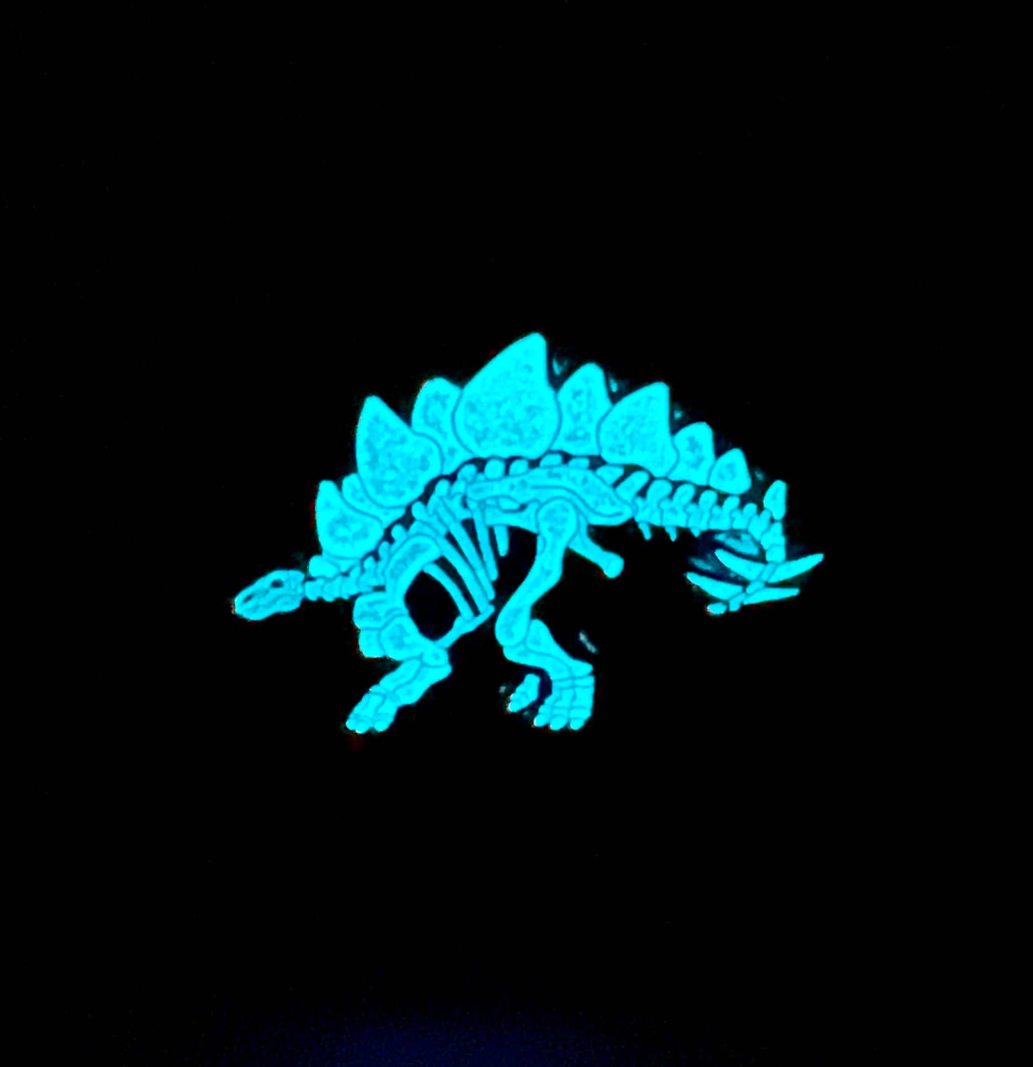 Roamin' Bison Workshop - Wholesale Lapel Pin/Button - Stegosaurus Soft Enamel Pin | Stegosaurus Pin | Dinosaur Pin2