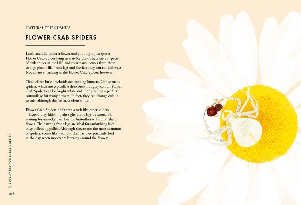 Chronicle Books - Wholesale Nature & Outdoors Book - Planting Wildflowers8