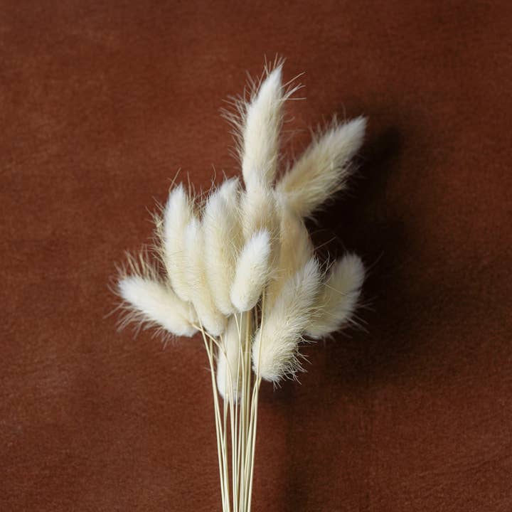 Blue Ocean Traders - Vente Fleur séchée/pressée - Mélange d'herbes séchées et de fleurs blanchies, 12"5