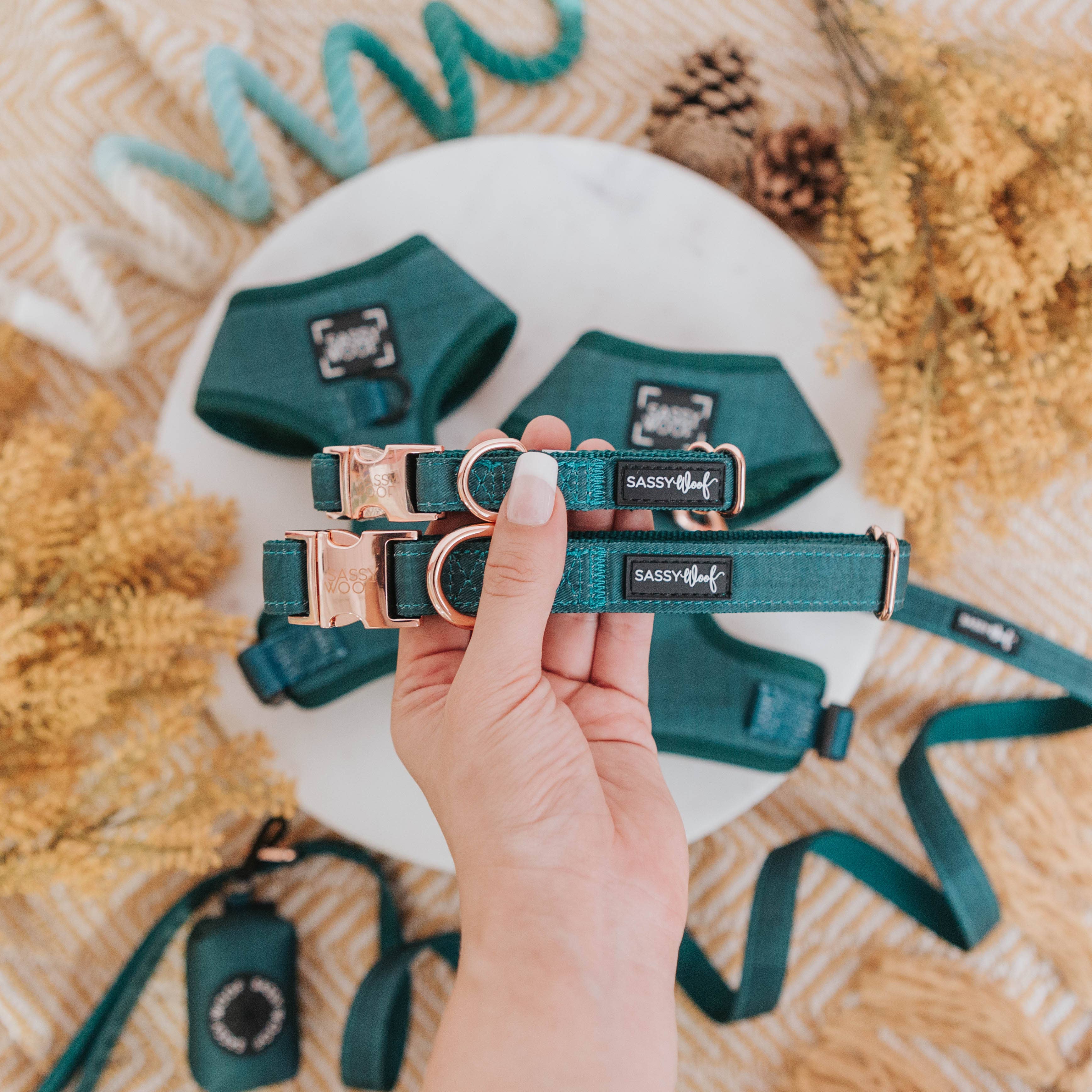 SASSY WOOF - Wholesale Pet Collar - Dog - Dog Collar - Forest4