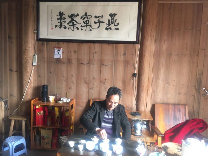 NIUKA Tea & Botanicals - Wholesale Loose Tea - Oolong Tea (roasted): Amber Jade7