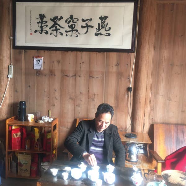 NIUKA Tea & Botanicals - Wholesale Loose Tea - Oolong Tea (roasted): Amber Jade7