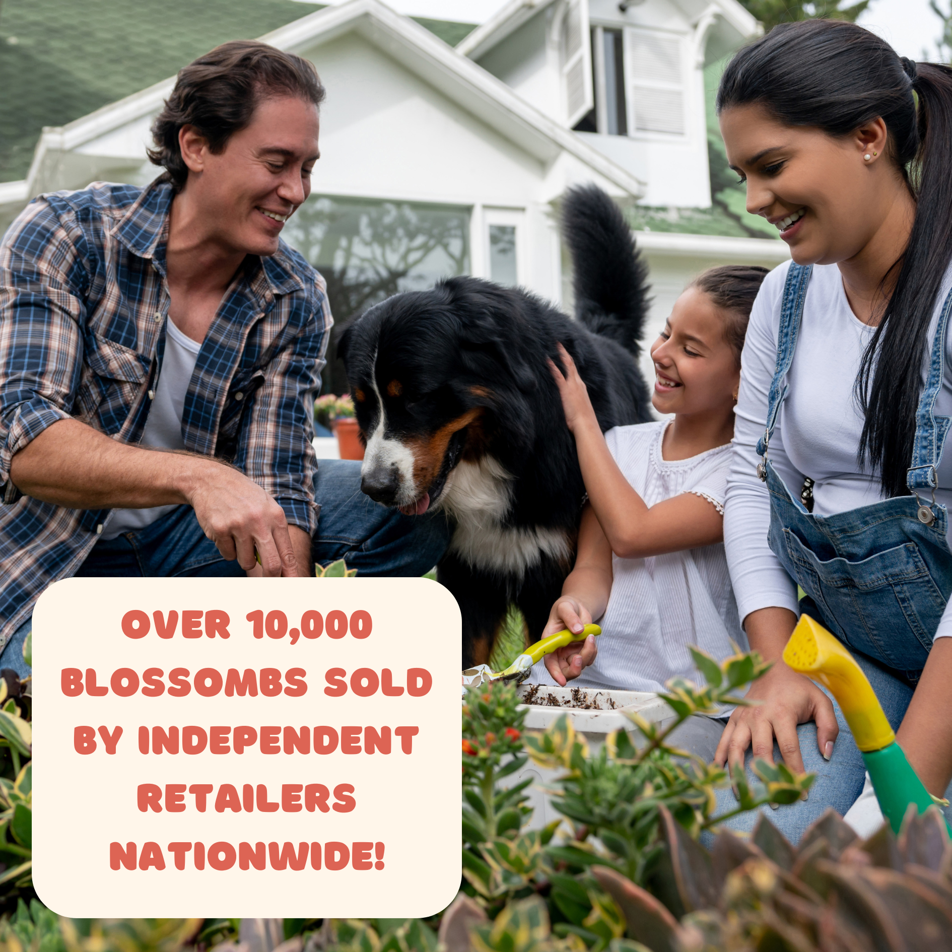 Buzzy Seeds Grow Gifts - Vente Graines de plantes - Mini boîte de graines de fleurs sauvages – Coffret cadeau Fleurs pour vous (4)2