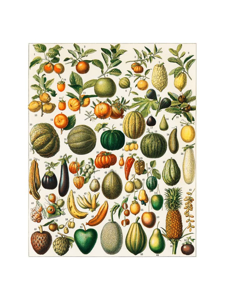 Bountiful Harvest for wholesale by Sweet Tree Cards