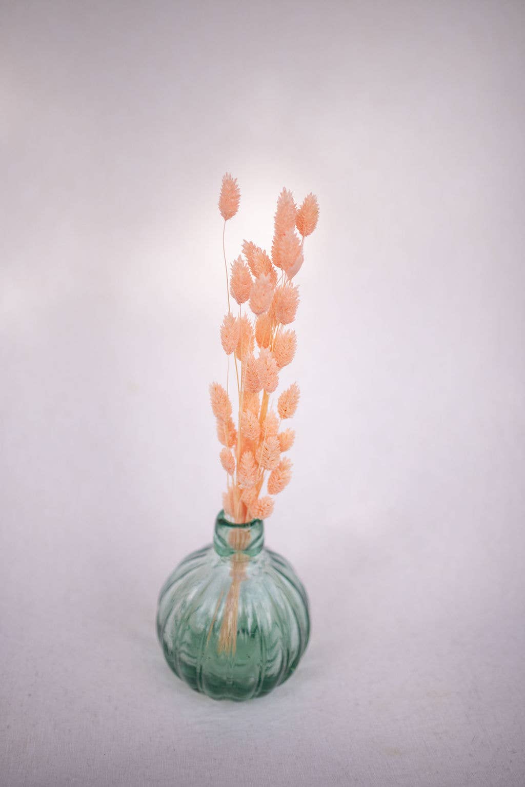 You Floral - Vente Fleur séchée/pressée - Phalaris - Rose2