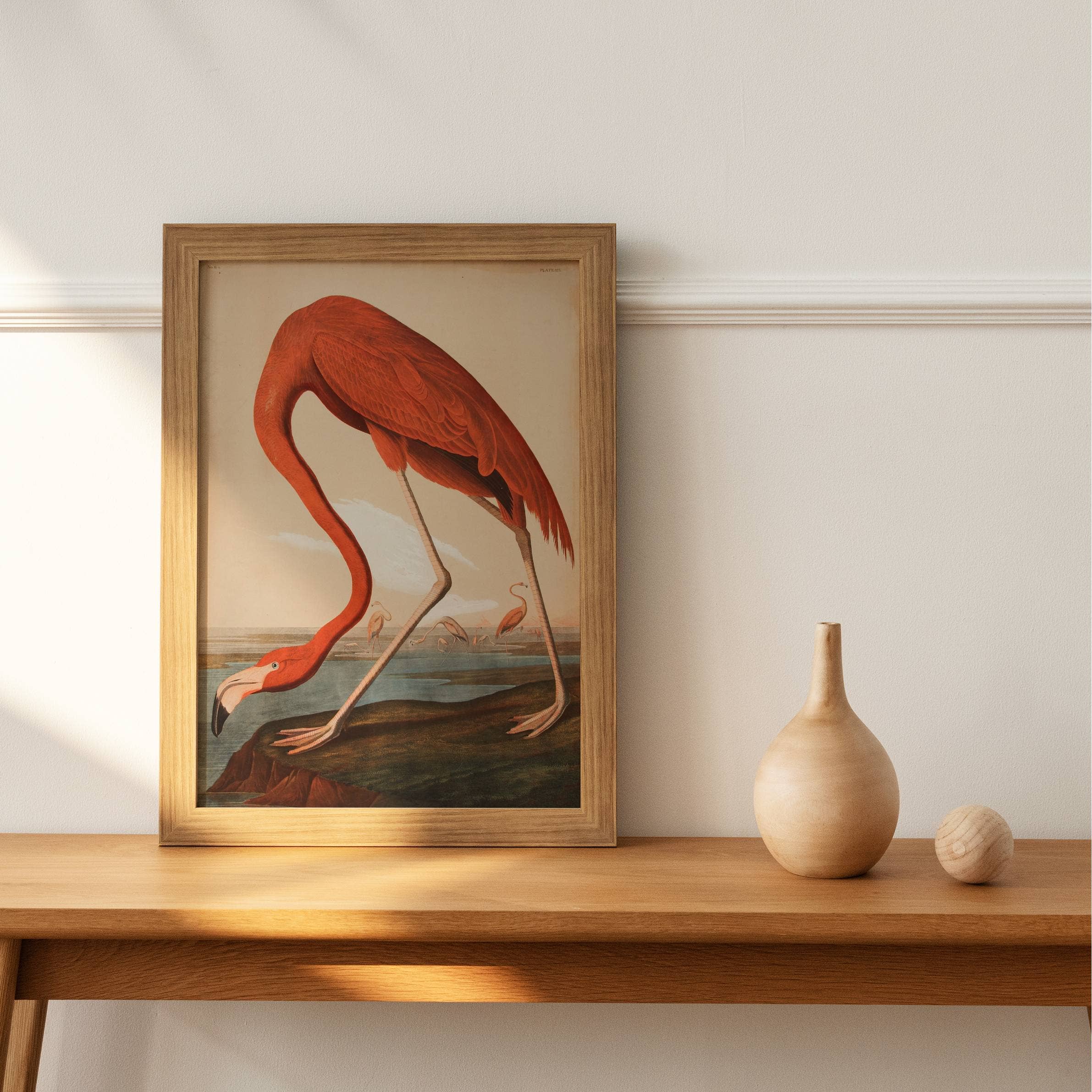Knot & Soul - Wholesale Art Print - Audubon - Flamingo1
