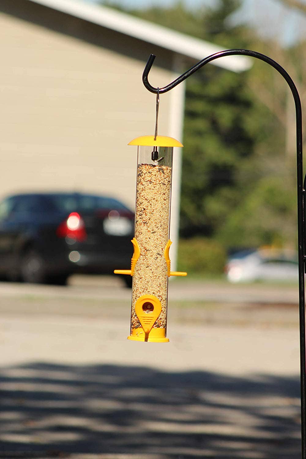 Ashman Online - Wholesale Bird Feeder - Ashman Bird Feeder, Metal Top and Bottom, Spacious Design, Attractive & Long Lasting3