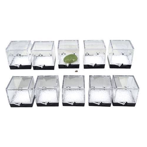 Alliz Trading - Wholesale Decorative box - Acrylic Specimen Box5