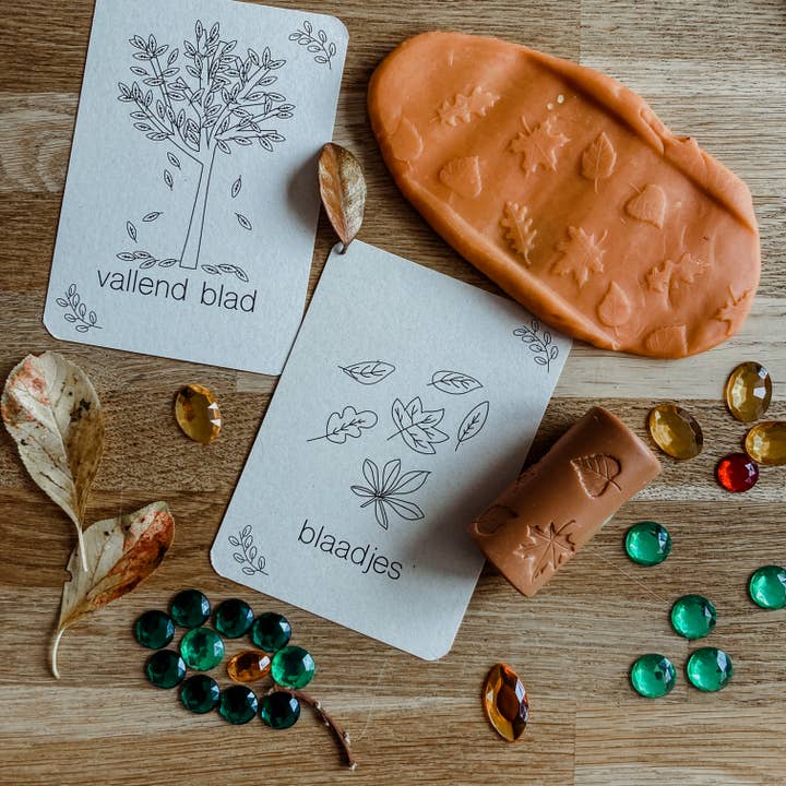 Wildebras - Wholesale Learning Cards - Kids & Baby - Autumn flashcards - learning about the season through play - Montessori1