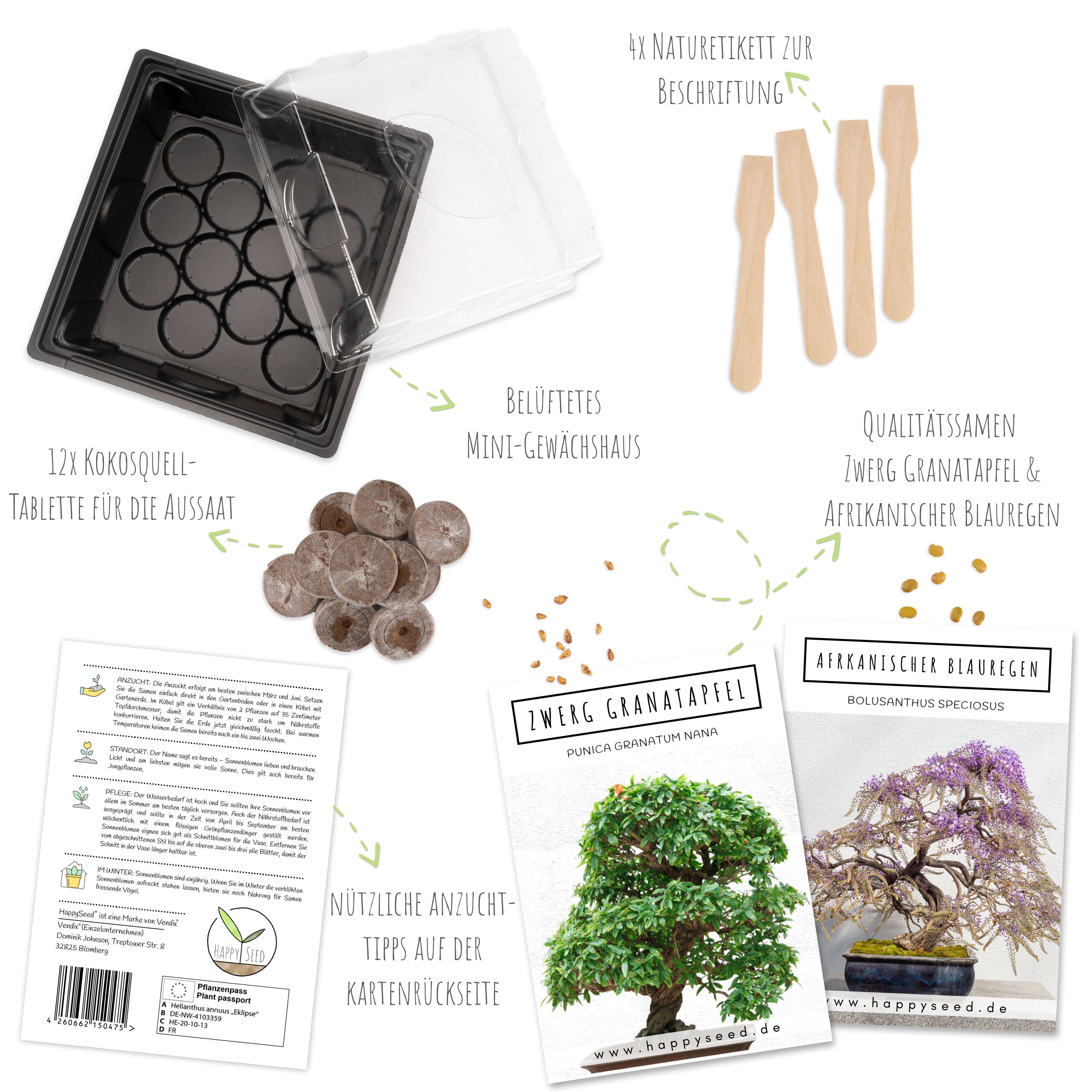 Vendix GmbH - Vendita all'ingrosso Semi di piante - Kit per iniziare a coltivare bonsai con guida eBook inclusa2