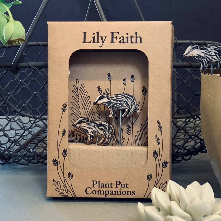 Companheiros de vasos de plantas de texugo por atacado de Lily Faith
