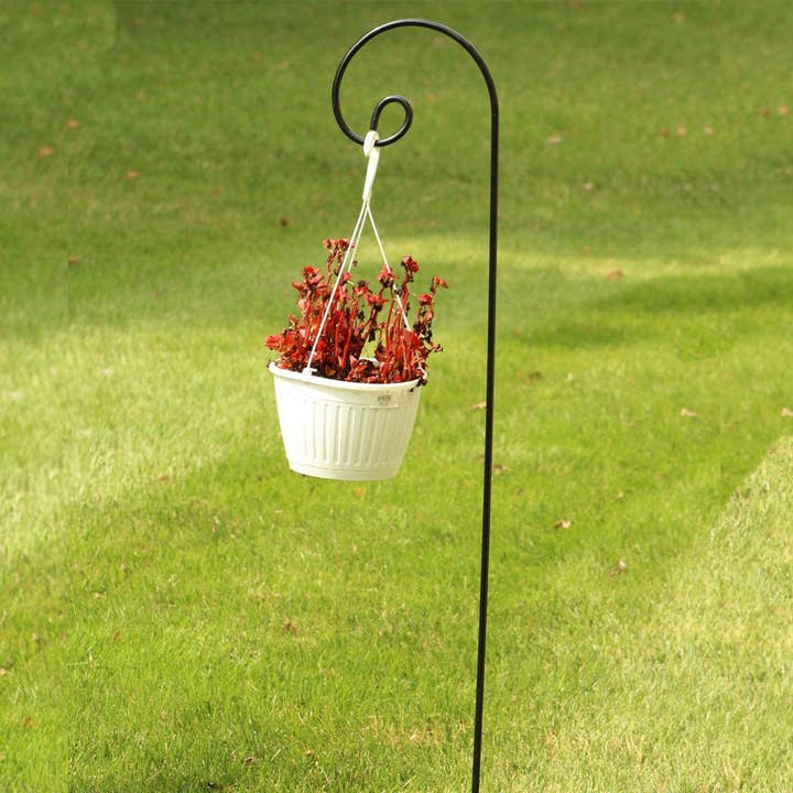 Ashman 65 Inch Curled Shepherds Hook Black, 1/2-Inch Diameter Thick, Solid Metal for Hanging Plant Bird Feeders, Flower Baskets and more for wholesale by Ashman Online