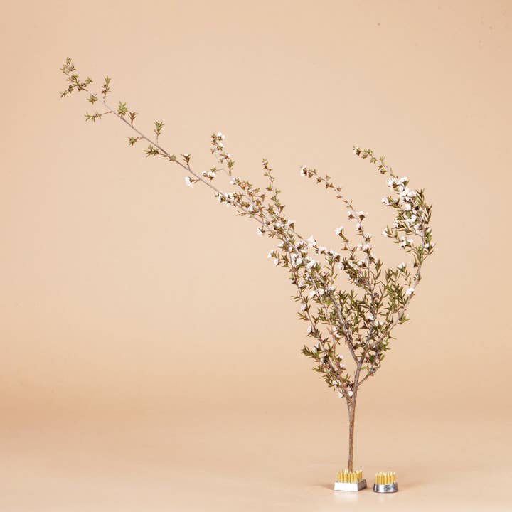 Mini Kenzan Set for wholesale by Plantgem