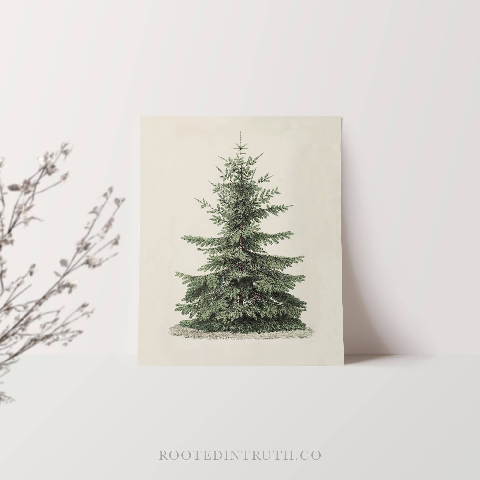 Rooted in Truth – Großhandel Kunstdruck – Vintage-Wandbild mit Weihnachtsbaum, Weihnachtsdeko, Natur1