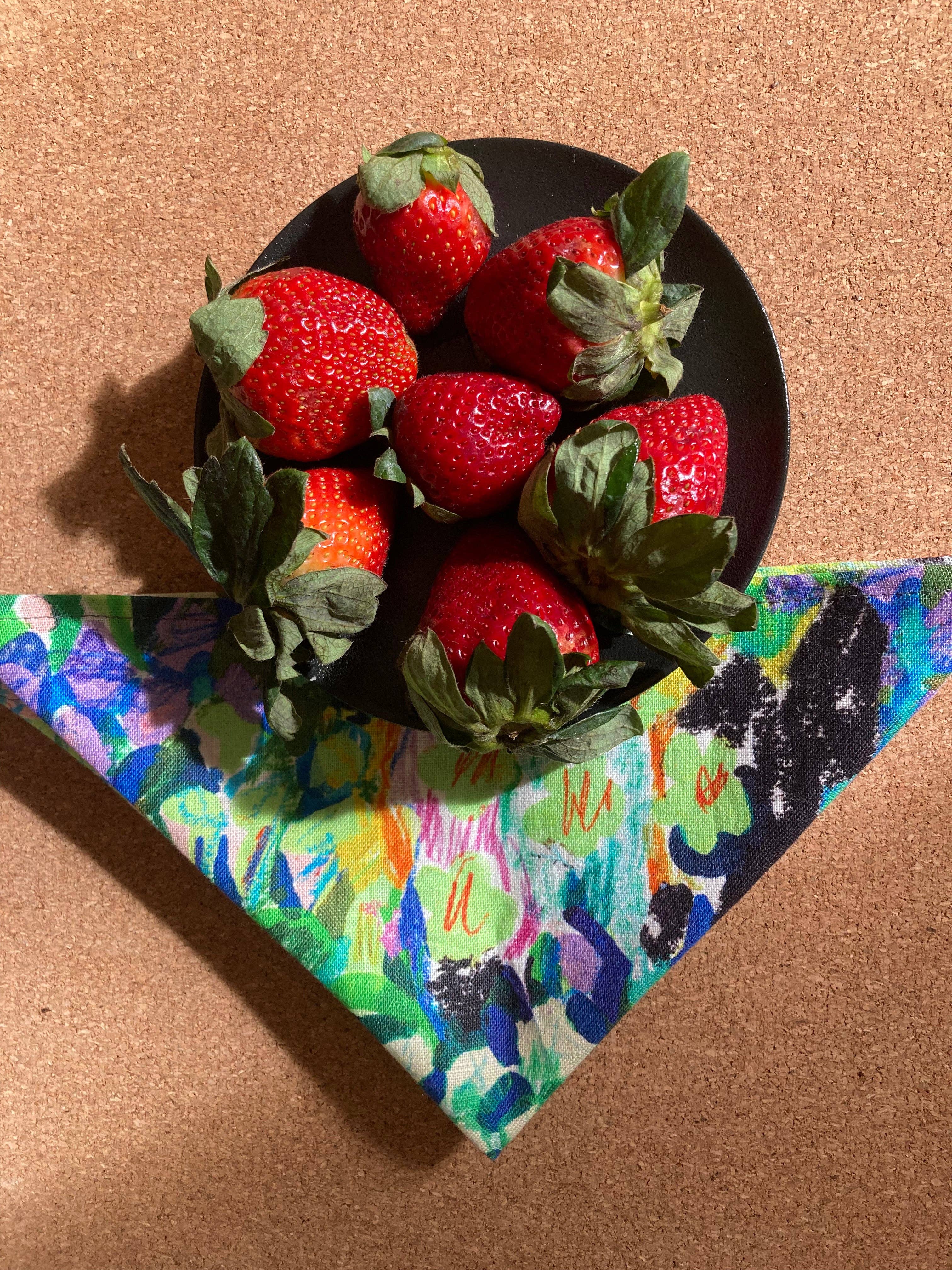 Tara Whalley – Guardanapo e pano de jantar por atacado – Guardanapos (conjunto de 2)11