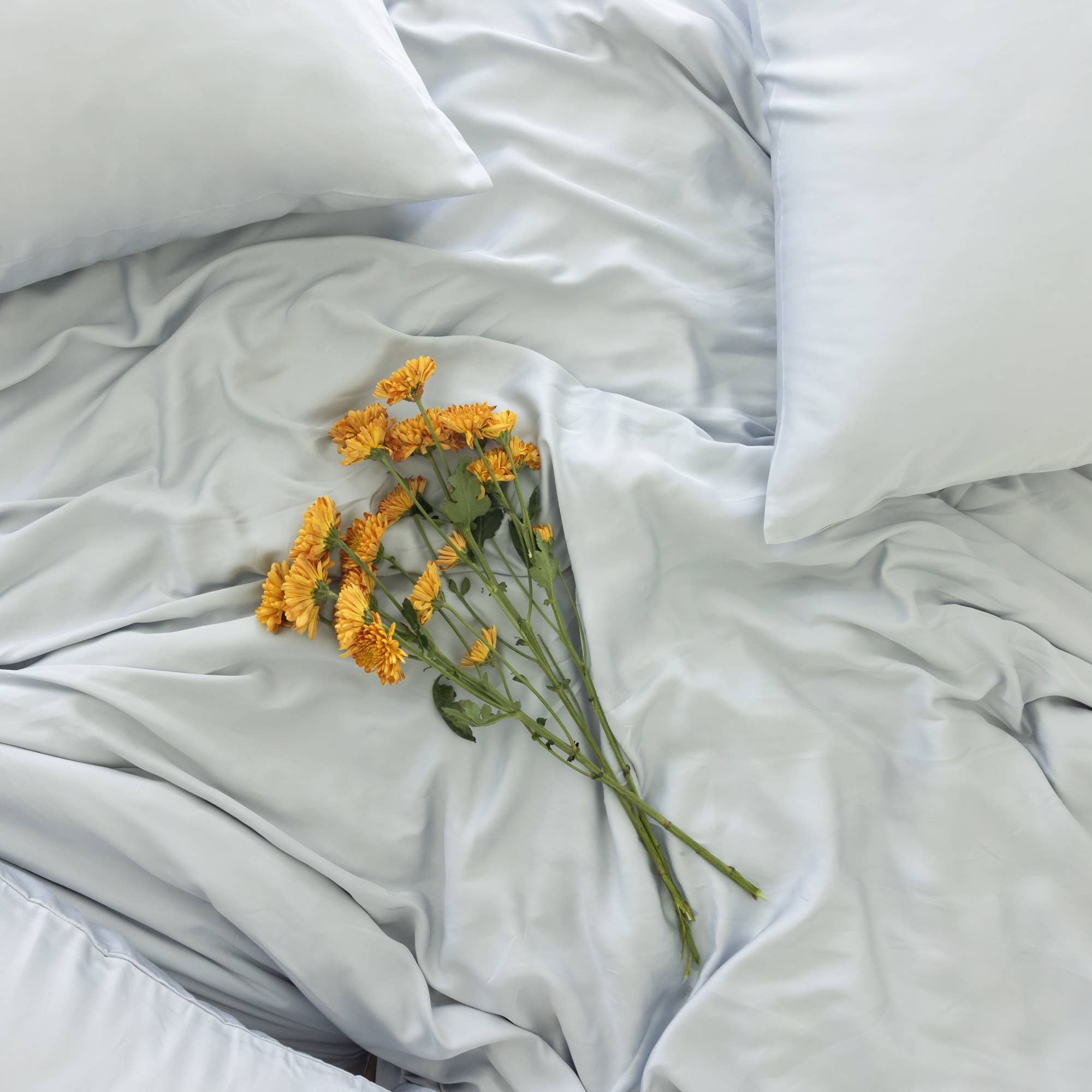 Aeptom - Wholesale Sheet Set - Organic Bamboo Sateen Bed Sheet Set23