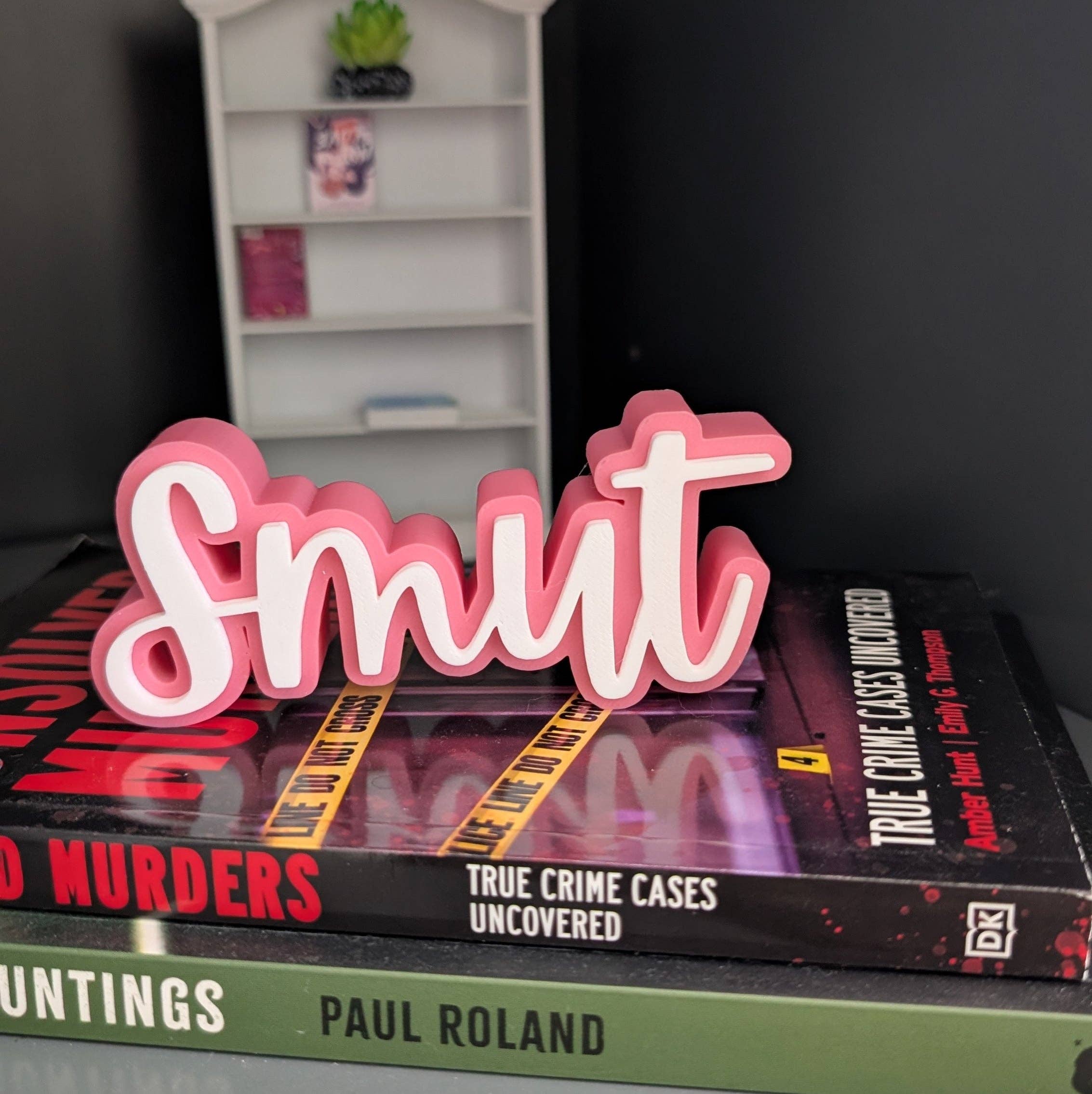 The Gift Genie LLC - Wholesale Bookend - 3D Book Sitters1