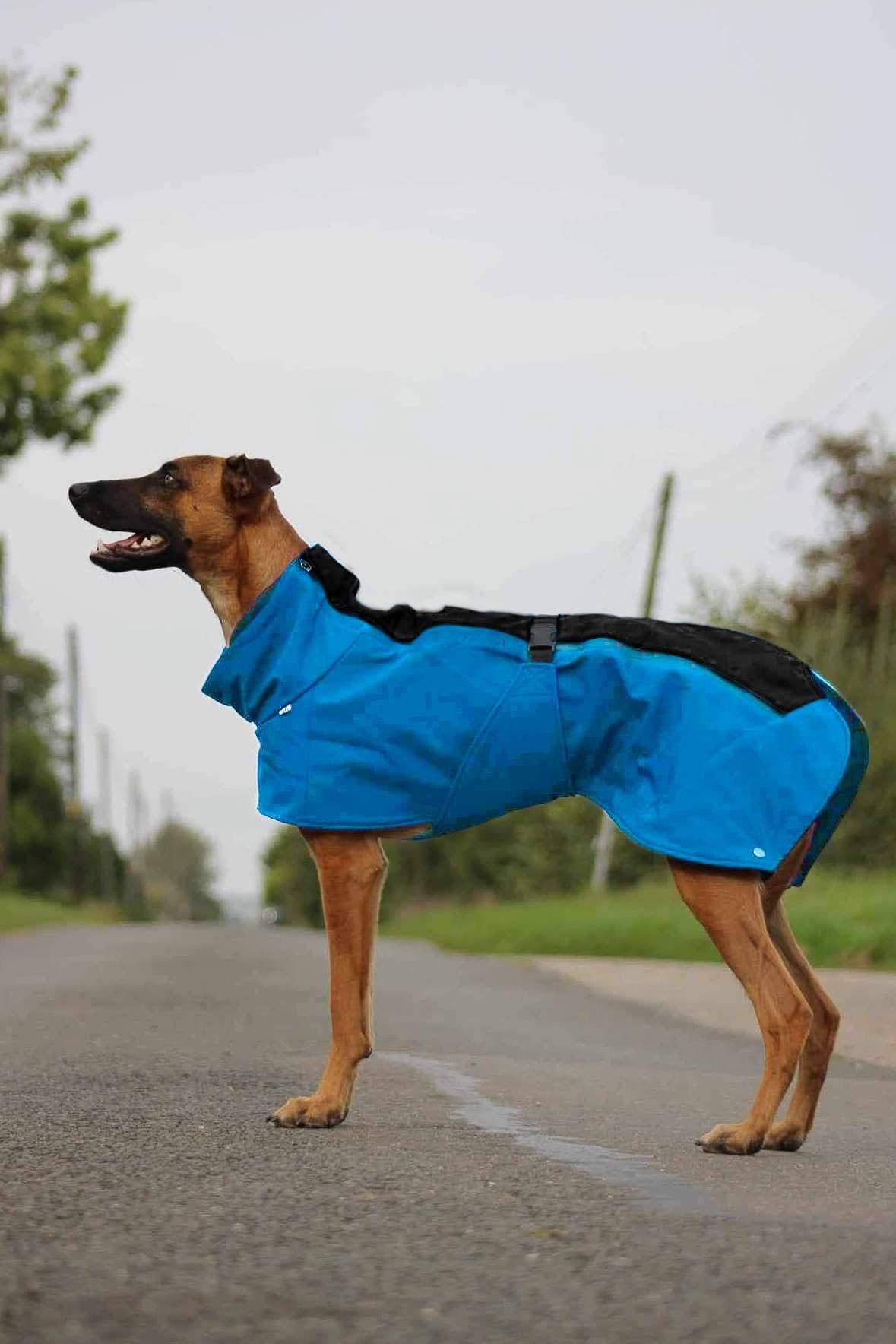 Jaegr l DOGWEAR – wholesale Pet coat – Dog – Jaegr Supreme Coat - Upside Down Highlighter Range1