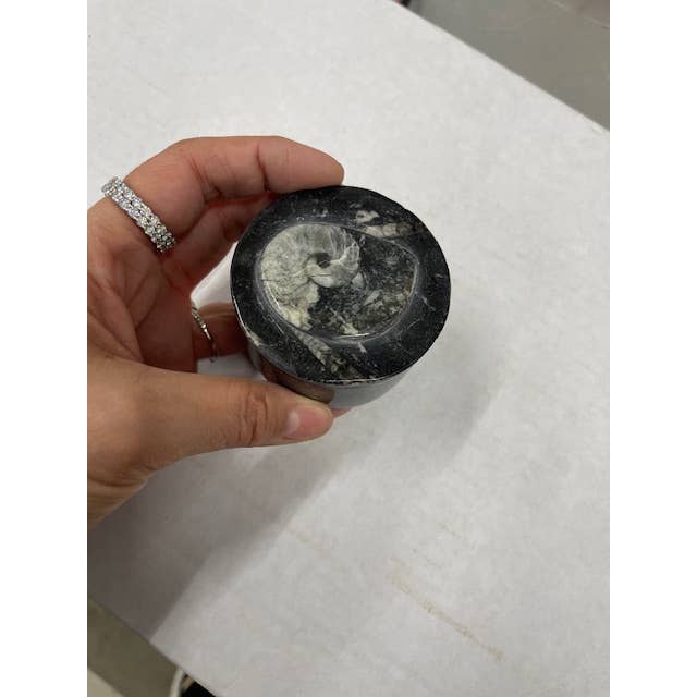 Casablanca Exports - Wholesale Decorative Box - Medium Round Fossil Boxes 1