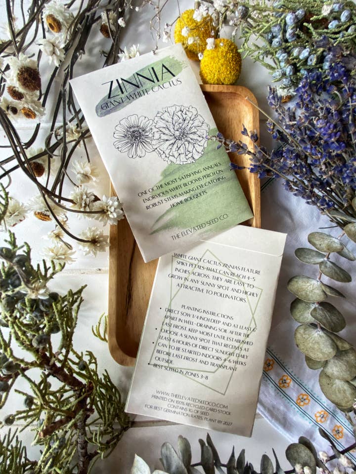 Giant White Cactus Zinnia Garden Seeds for wholesale by The Elevated Seed Co.