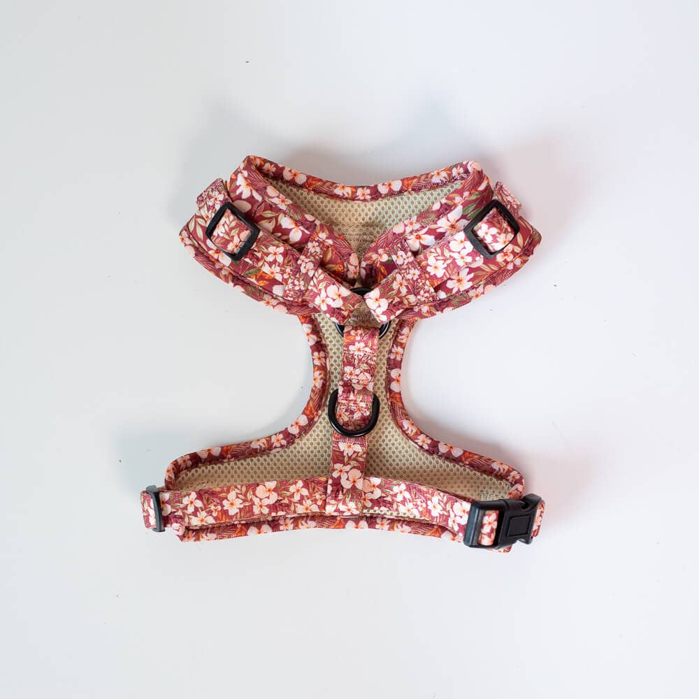 Pip and Palms - Wholesale Pet Harness - Dog - Dog Harness Fallen Flowers2