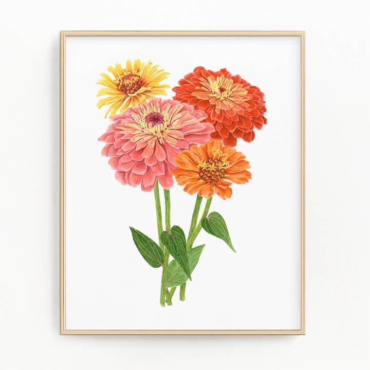 Impression de Zinnia, Peinture à l'aquarelle de Zinnias, Ensemble de Zinnias multicolores pour la vente par Emilie Taylor