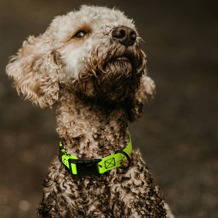 Dogline - Wholesale Pet Collar - Dog - Dogline Biothane Dog Collar with Quick Release