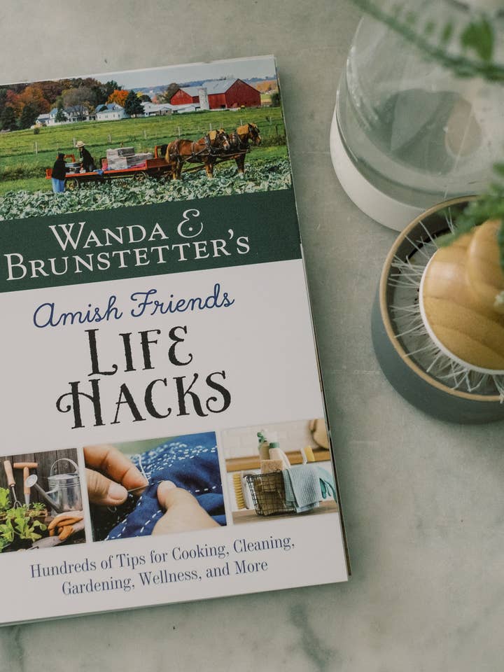 Wanda E. Brunstetter's Amish Friends Life Hacks for wholesale by Barbour Publishing, Inc.