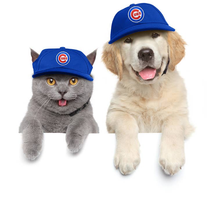 Little Earth Productions - Wholesale Pet Hat - Dog - MLB Chicago Cubs Pet Baseball Hat1