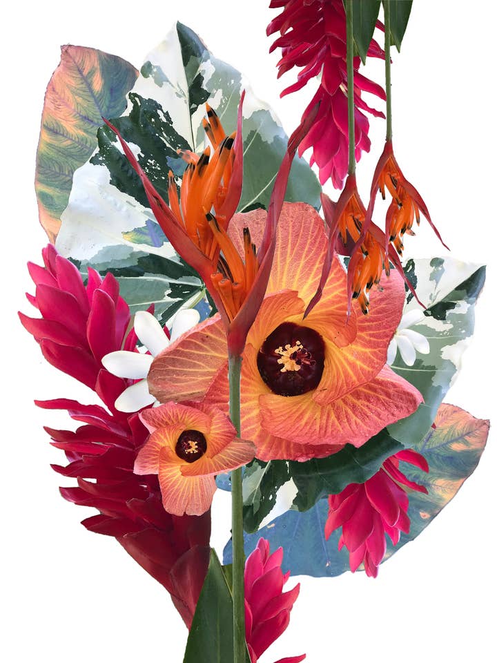 Hawaii drucken für den Großhandel von Elisabeth Grace