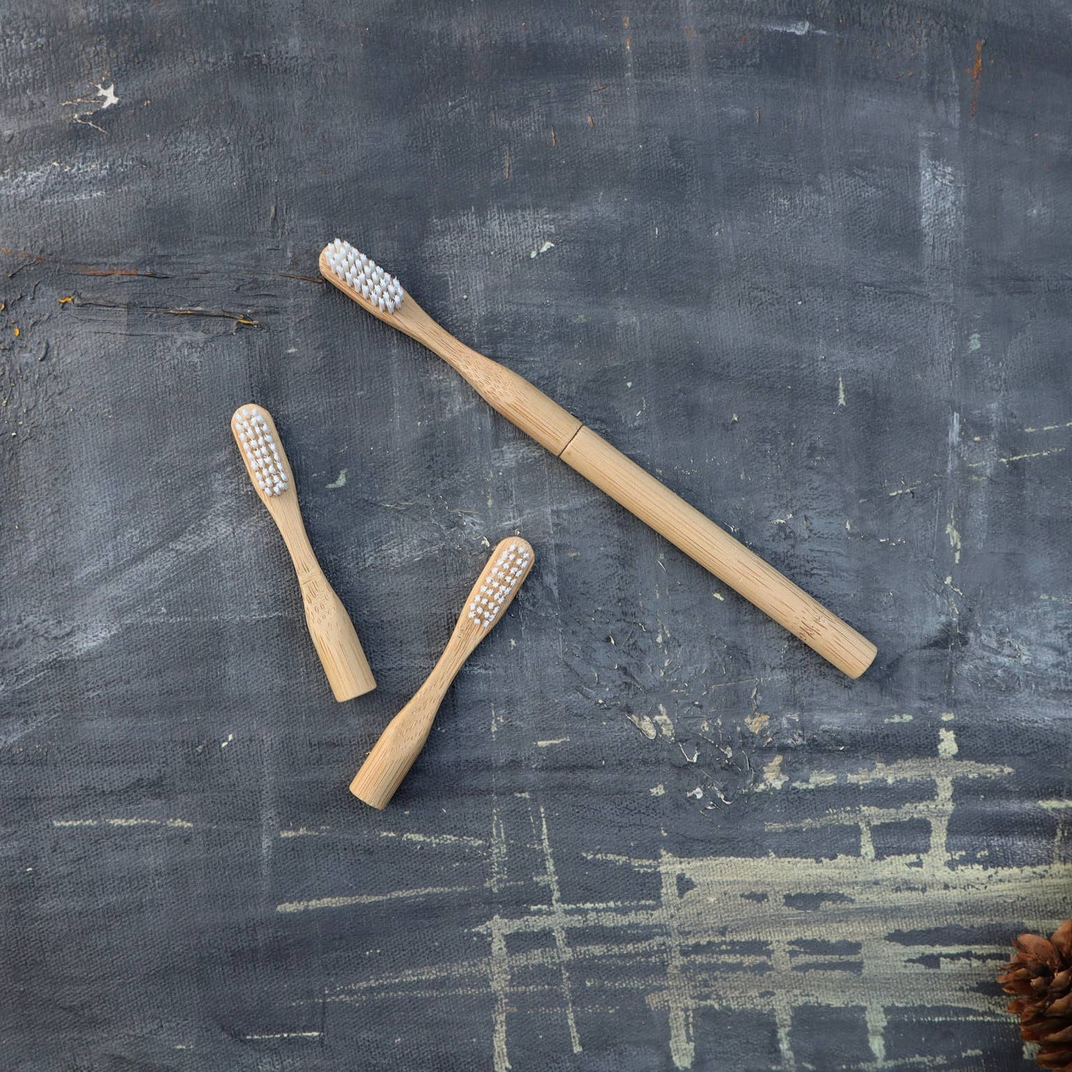 Plantish - Wholesale Toothbrush - [BUY BULK] Bamboo Toothbrush (Canada Only)4