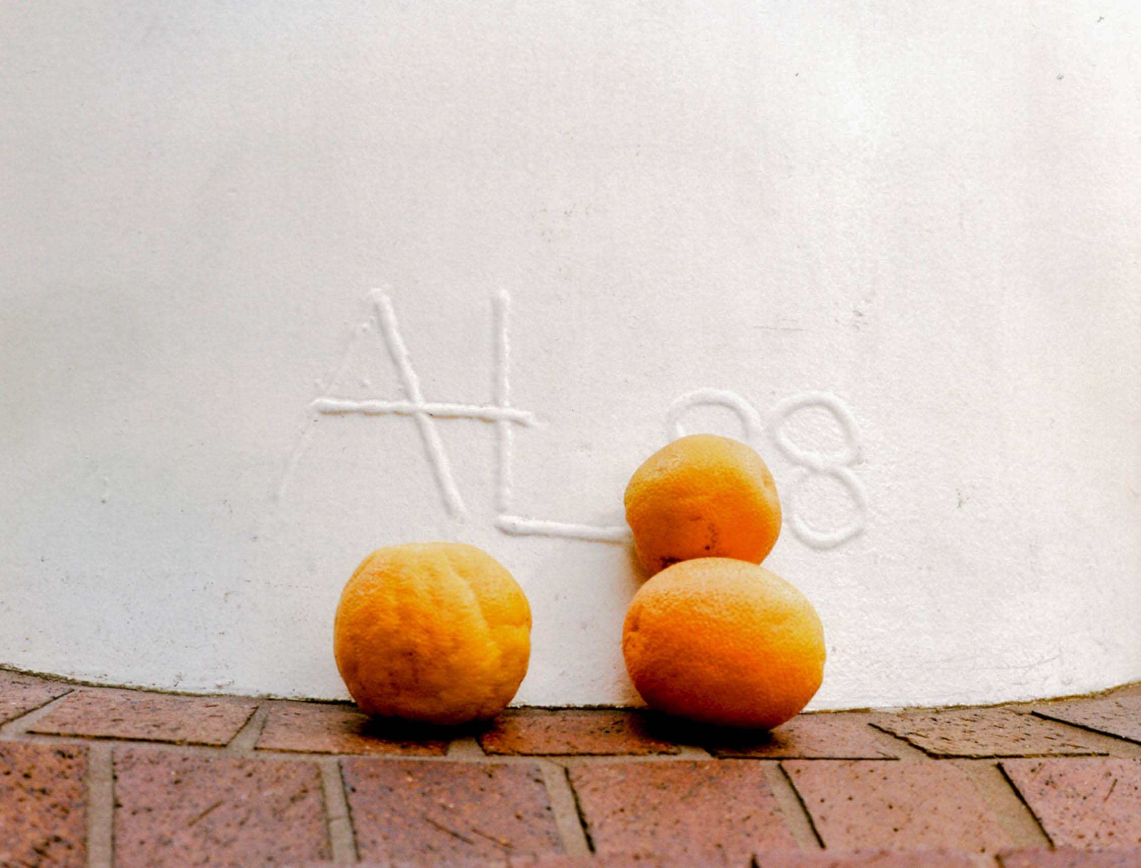 Sqirl - Wholesale Jam/Jelly - Cara Cara Vanilla Bean Marmalade1