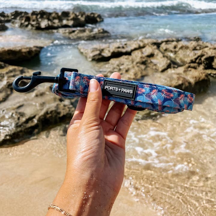 LEASH - PORTER for wholesale by Ports and Paws
