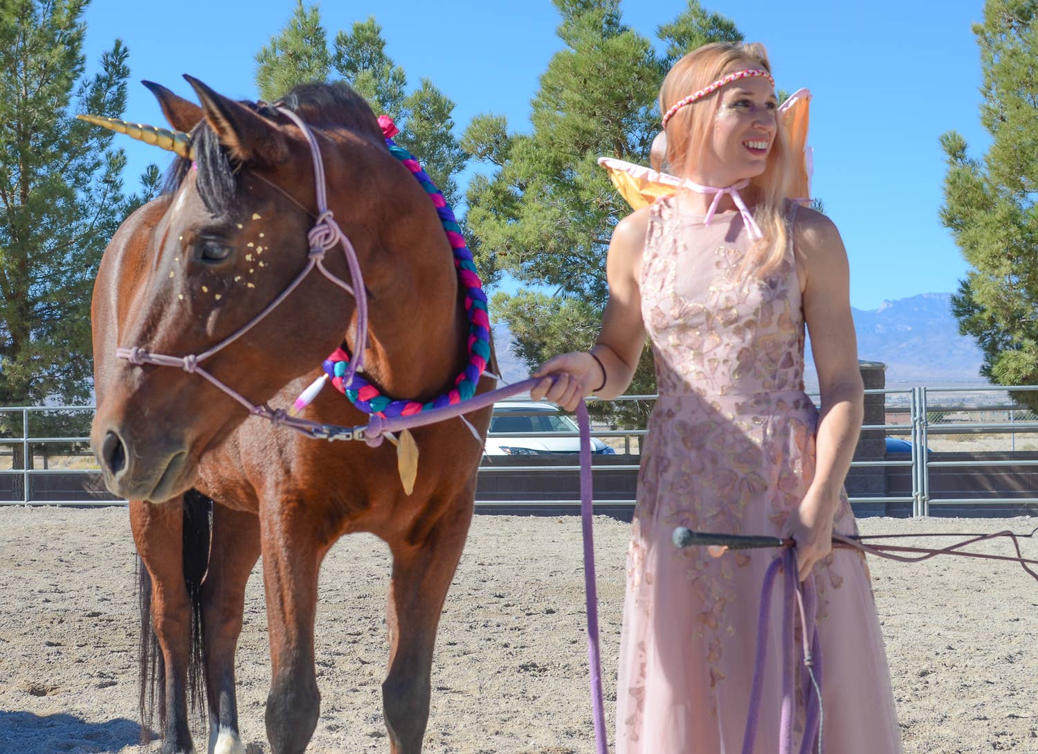 Circus Unicorn Shop - Wholesale Pet Costume - Cat/Dog - Unicorn Horn for Horse6