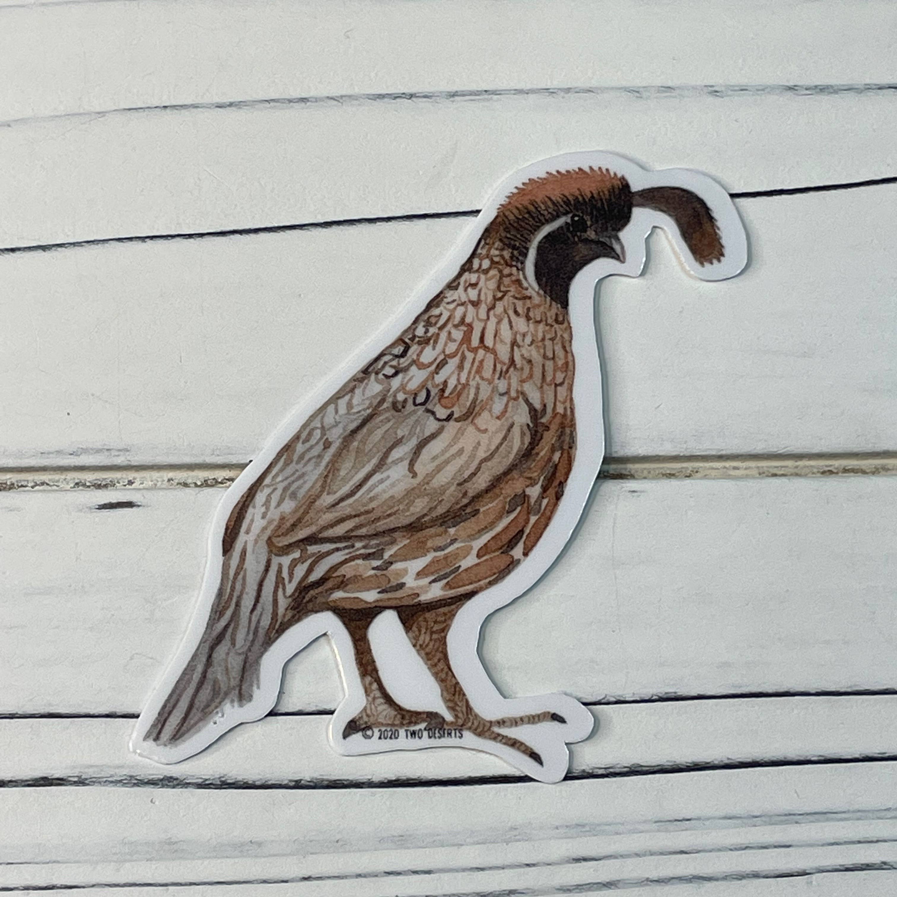 Two Deserts - Wholesale Sticker - Quail Vinyl Sticker