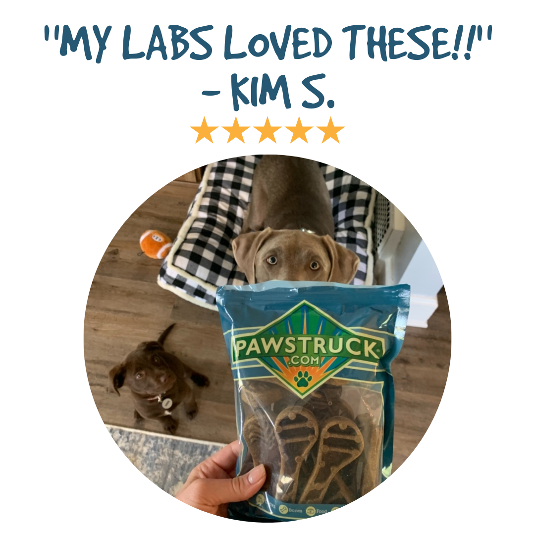 Pawstruck - Wholesale Pet Treats - Dog - Natural Dental Chews - 30 Pack6