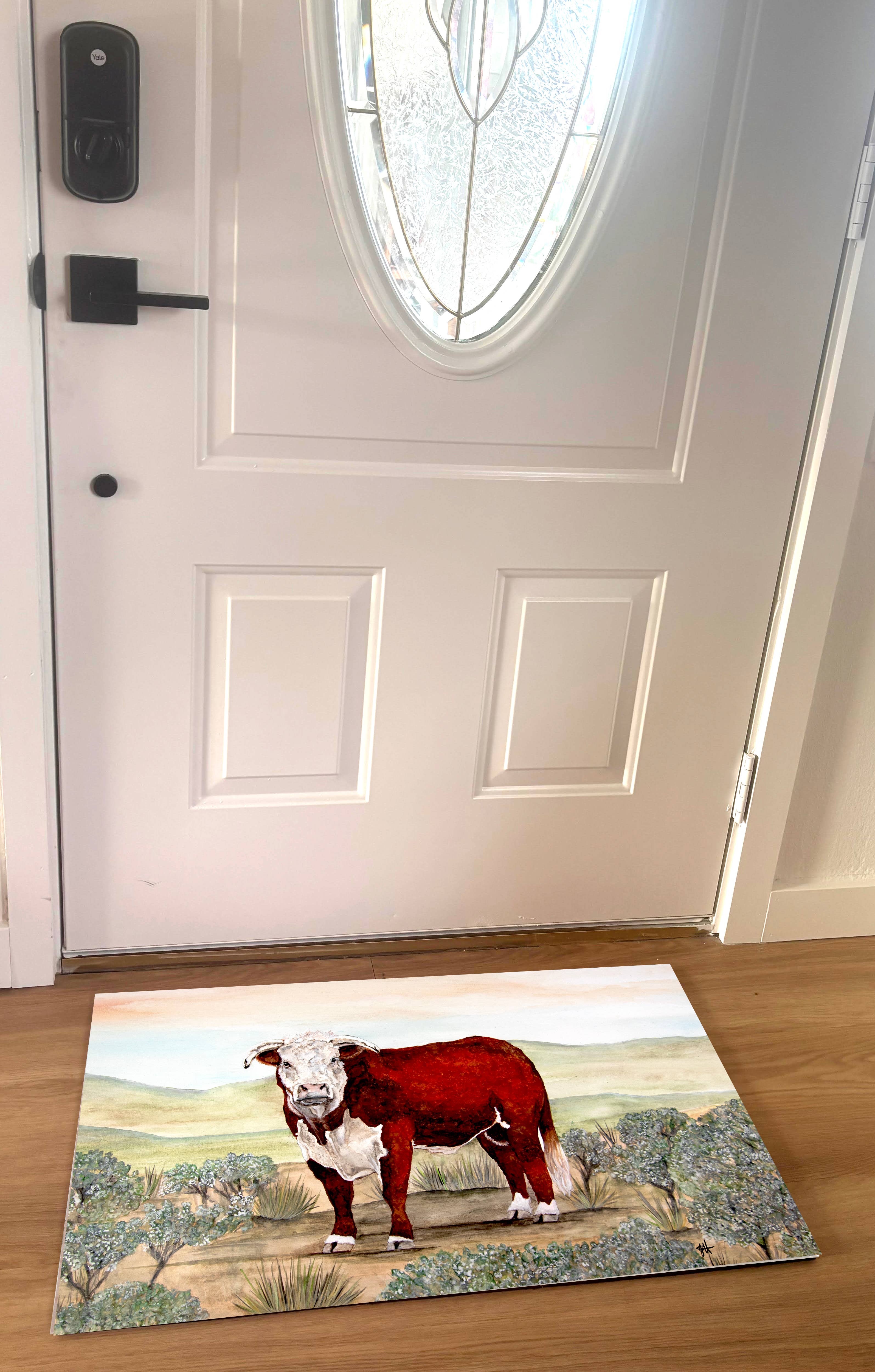 DOLLY ESTELLE - Wholesale Door Mat - Welcome Floor Mat 18x30 - Mix & Match  10