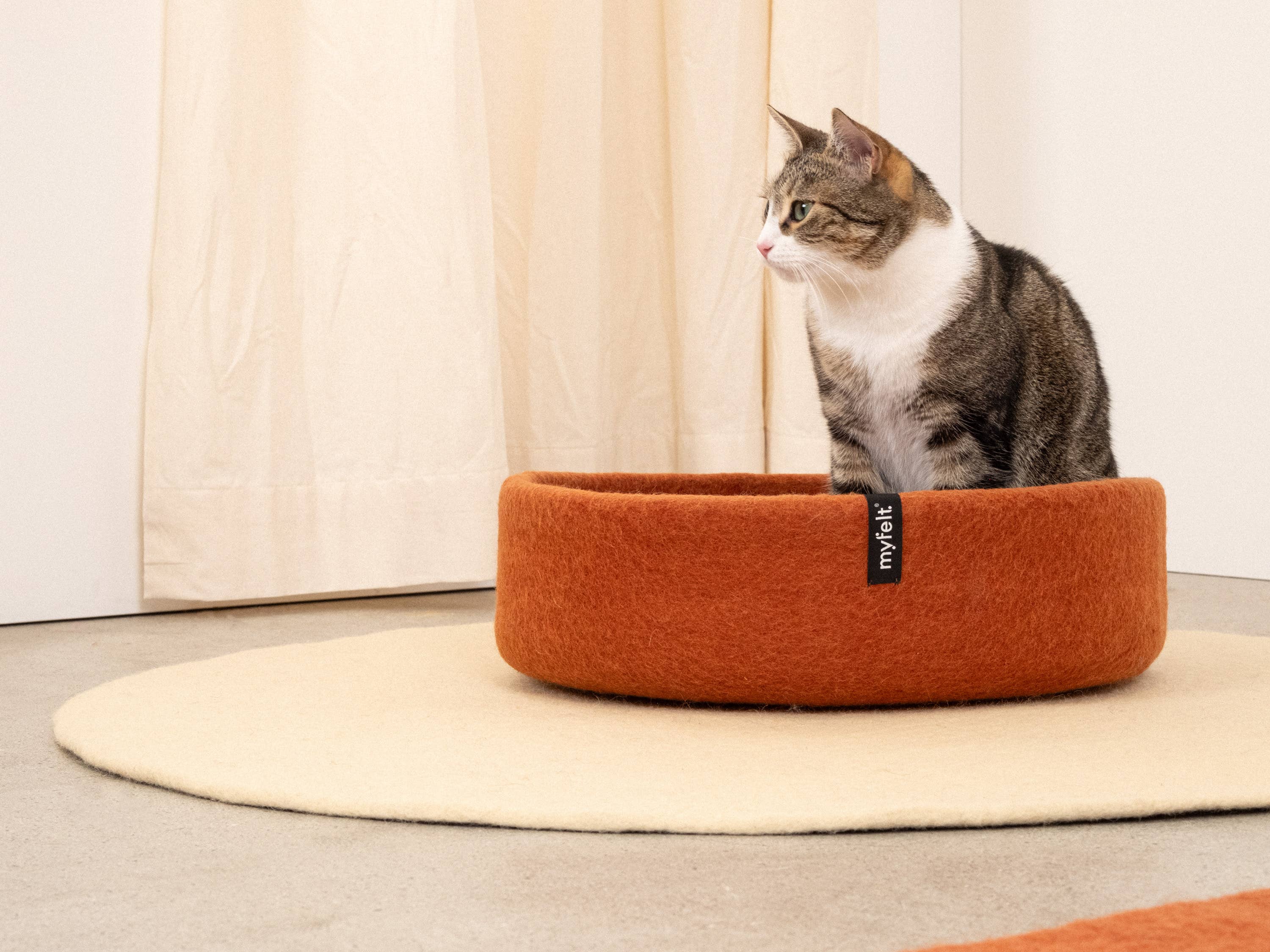 myfelt - Wholesale Pet Bed - Cat/Dog - Lora Cat Basket - Inlay Beige3