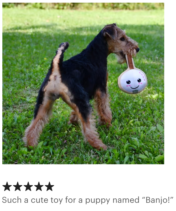 Screaming Pickles - Wholesale Pet Plush Toy - Dog - Handmade Pet Toys - Banjo Plush Toy for Dogs or Cats10