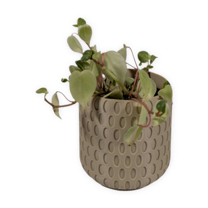 Leafprints.3d - Wholesale Plant Pot - The Bud - 4 Inch Planter with Drip Tray17