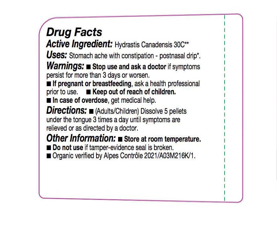 Ollois - Wholesale Oral Supplement/Vitamin - Olloïs Hydrastis Canadensis 30C Vegan Organic, 80 Pellets2