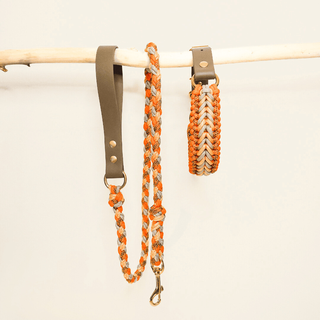 Truffe & Flair - Wholesale Pet Leash - Dog - Braided dog leash - Biothane/Paracord - Orange2