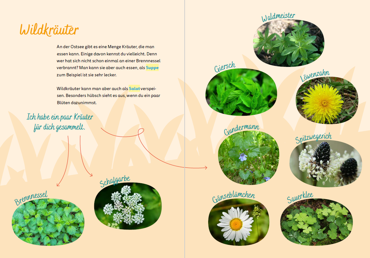 World for kids - Wholesale Reizen - Baltische Zee voor kinderen - reisgids voor kinderen6