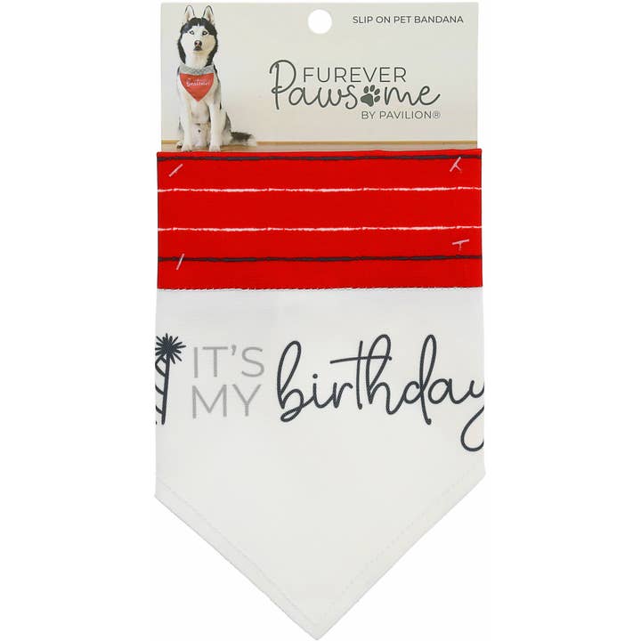 Pavilion - Wholesale Pet Bandana - Dog - It's My Birthday - 12" x 8" Canvas Slip on Pet Bandana3