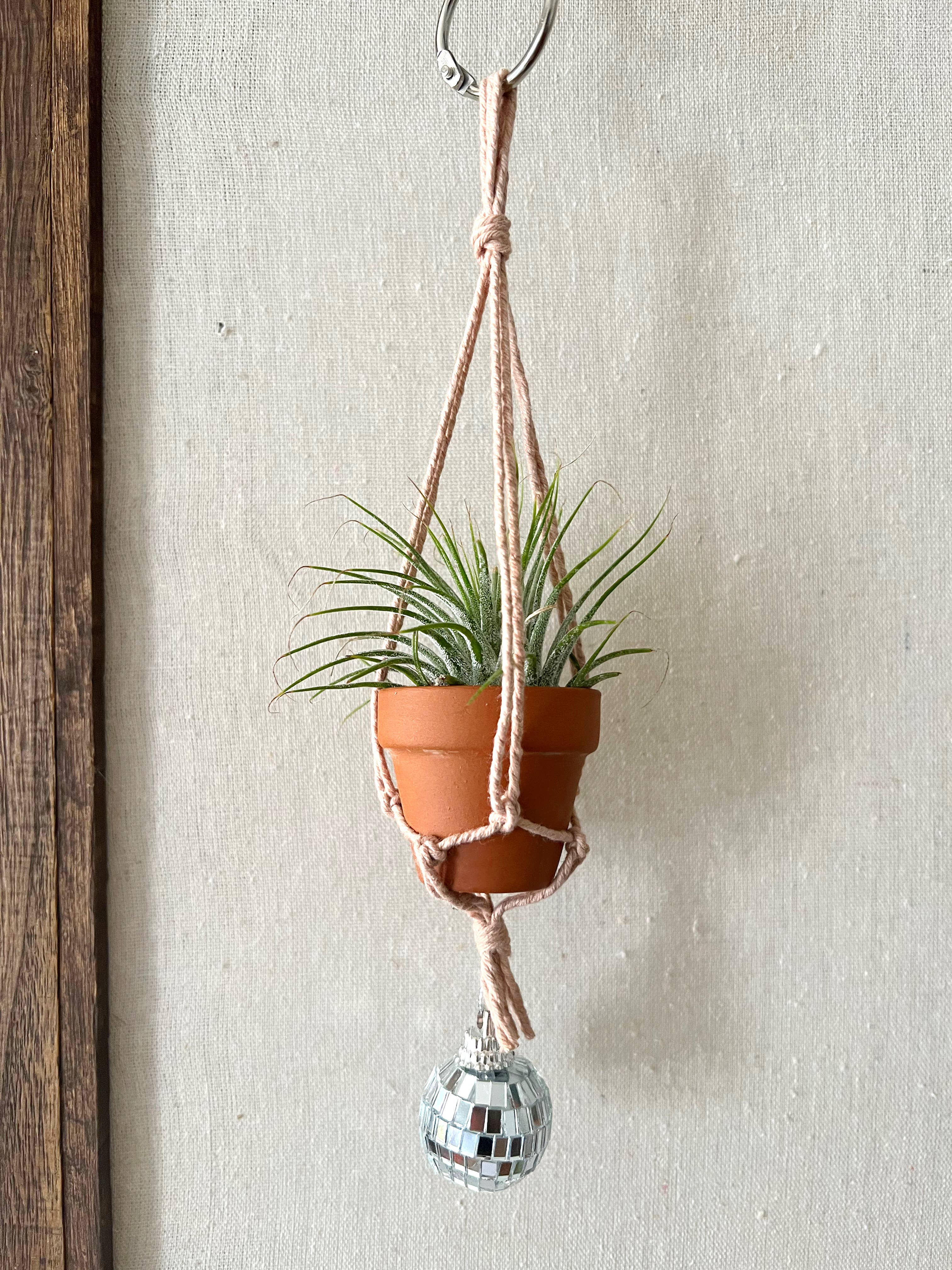 Dapper House Menagerie - Wholesale Hanging Planter - Pablo - Disco Air Plant Hanger with 1" Pot7