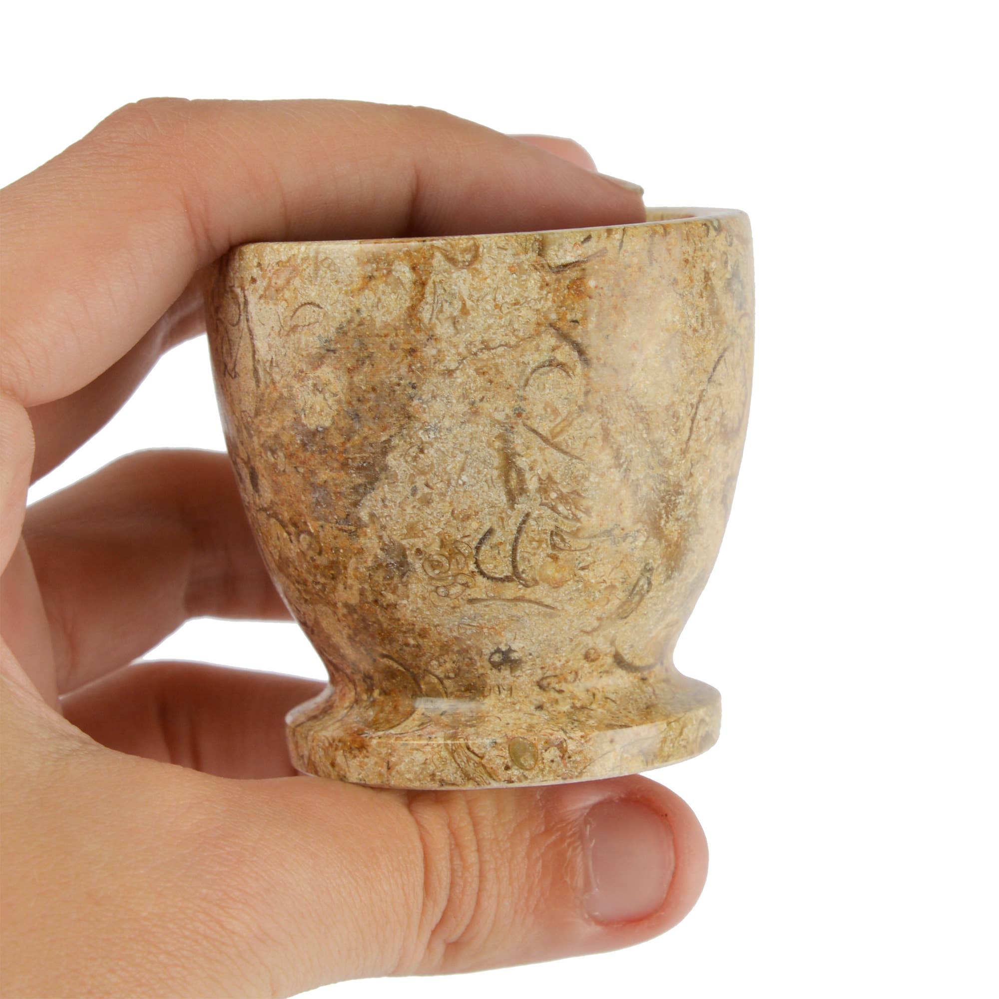 British Fossils – wholesale Egg cup/holder – Marble Egg Cups1