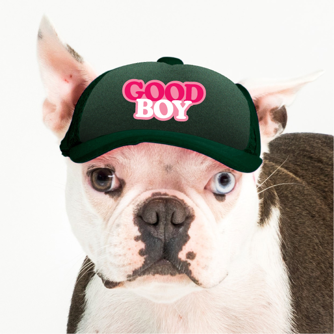 PupLid - Wholesale Pet Hat - Dog - Good Boy | Trucker Hat for Dogs7