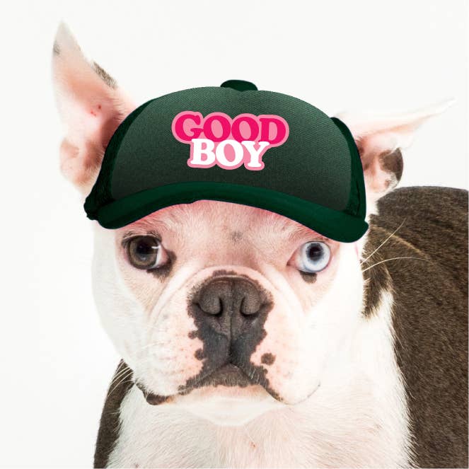 PupLid - Wholesale Pet hat – Dog - Good Boy | Trucker Hat for Dogs7